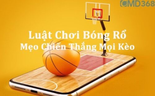 luật chơi và thi đấu