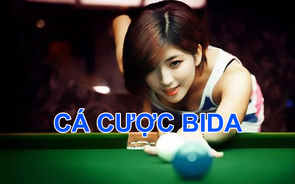 cá cược bida cmd368