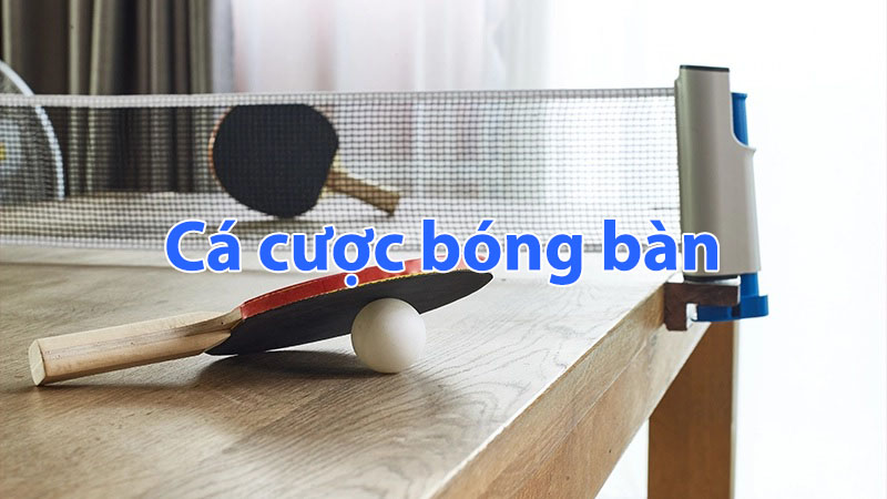 cá cược bóng bàn CMD368